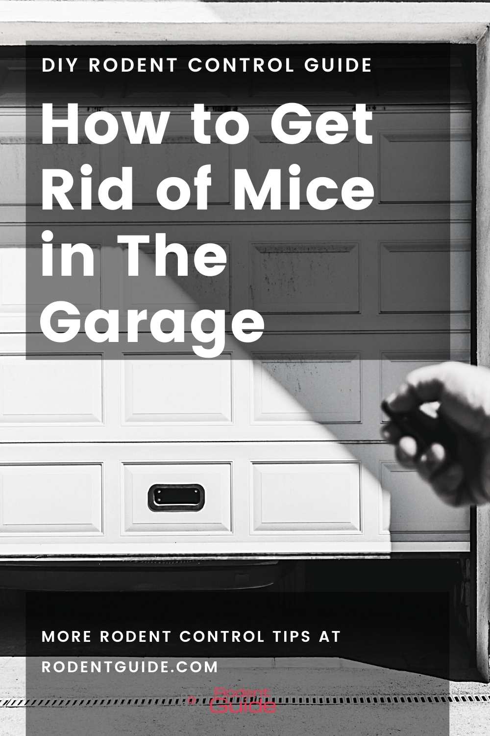 How to Get Rid of Mice in The Garage (1)