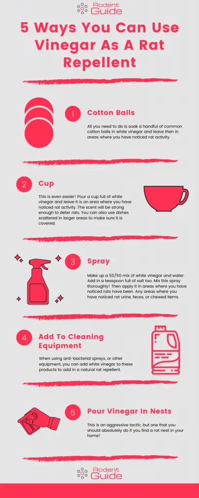 Vinegar As A Rat Repellent Infographic