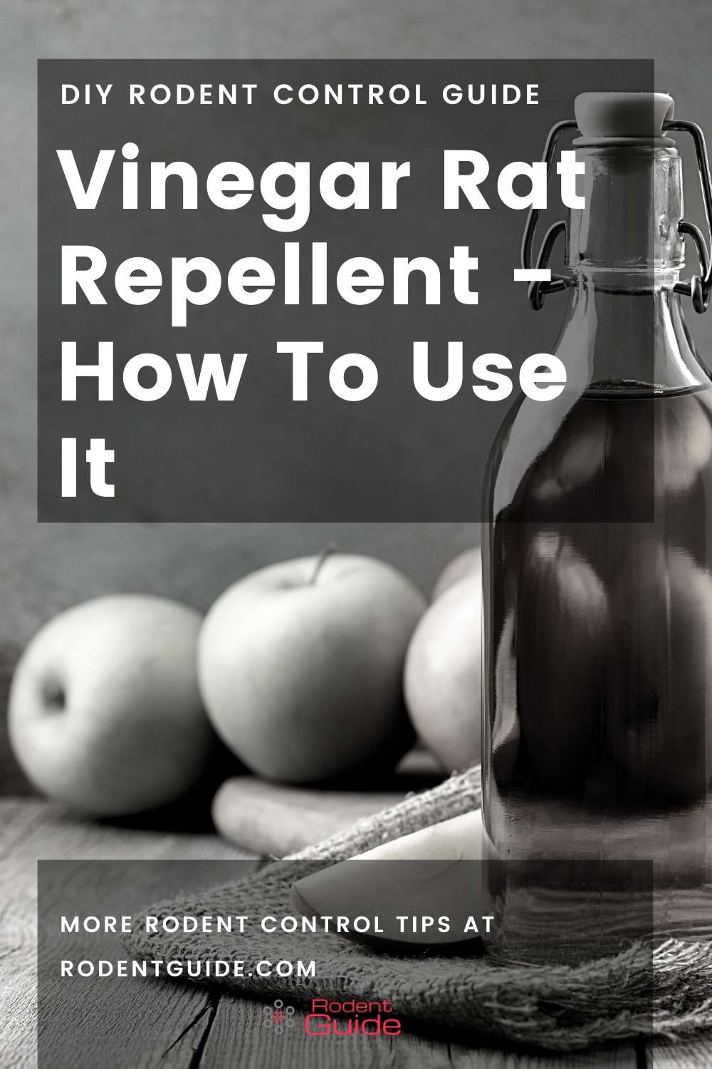 Vinegar Rat Repellent - How To Use It