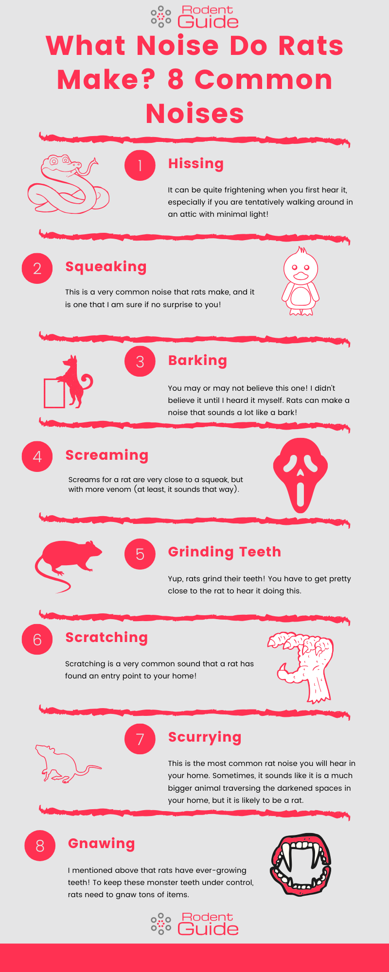 What Noise Do Rats Make 8 Common Noises Infographic