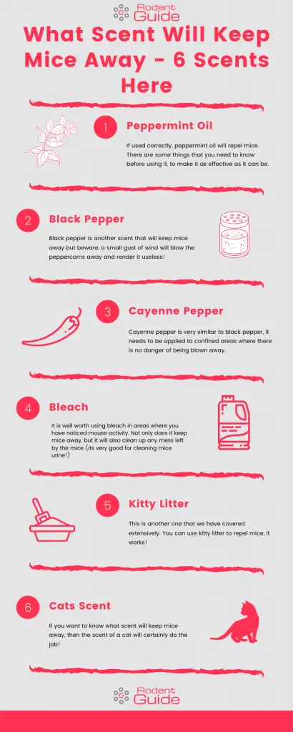 What Scent Will Keep Mice Away Infographic