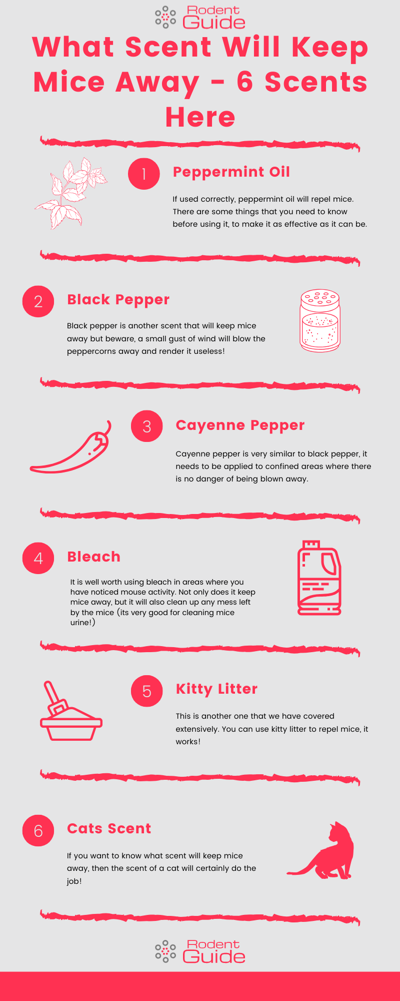 What Scent Will Keep Mice Away Infographic