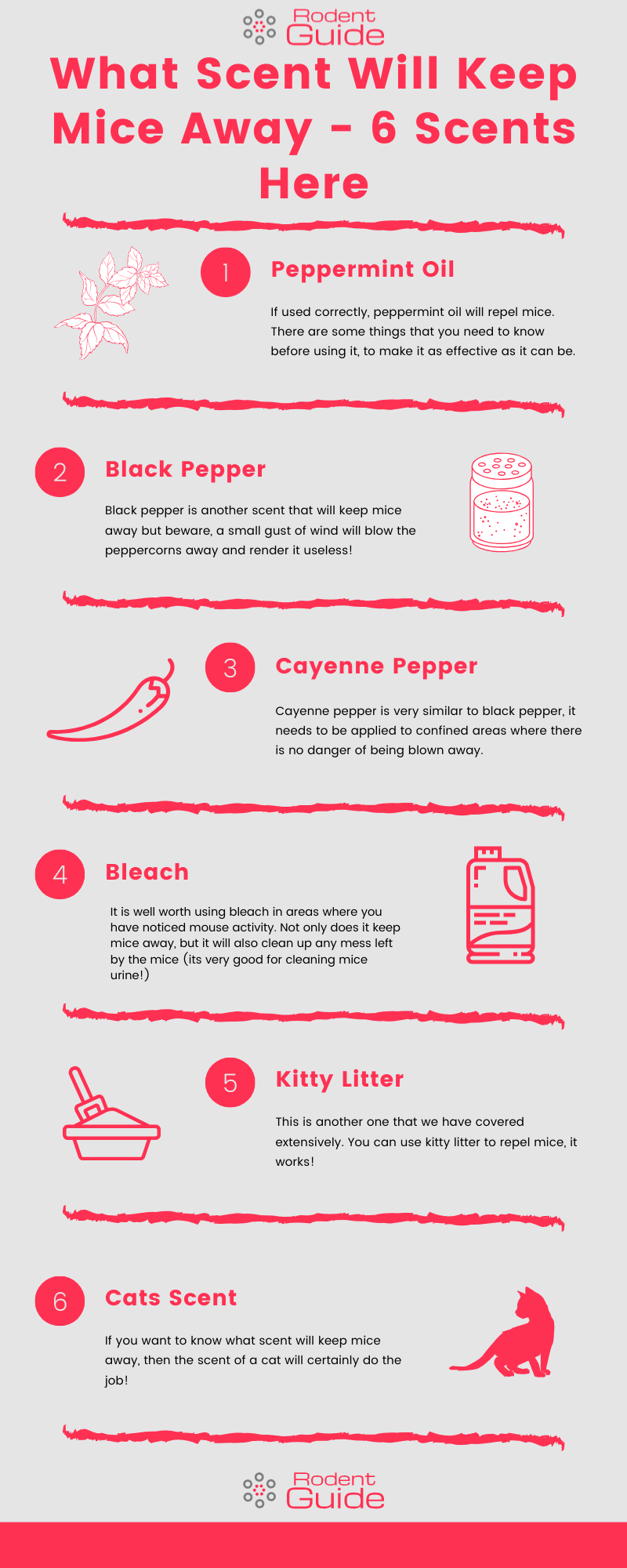 6 Scents That Will Keep Mice Away From Your Home DIY Rodent Control