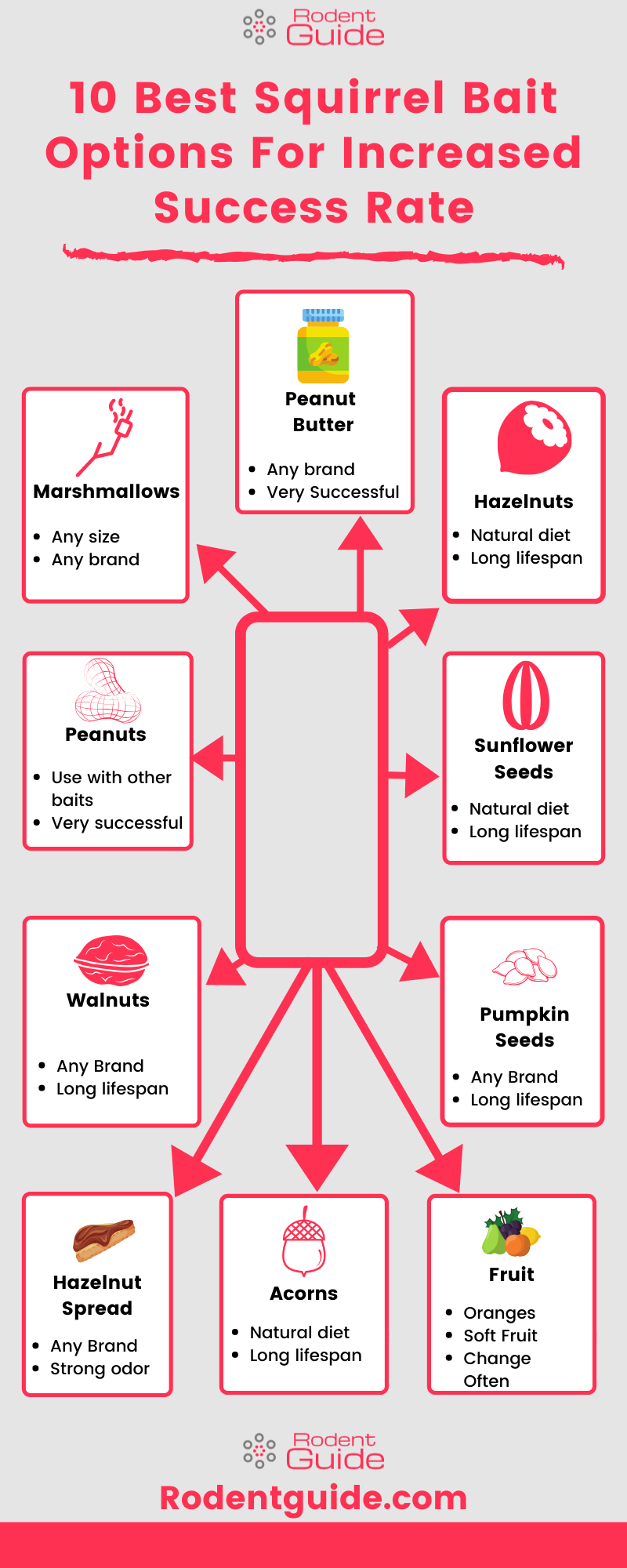 10 Best Squirrel Bait Options For Increased Success