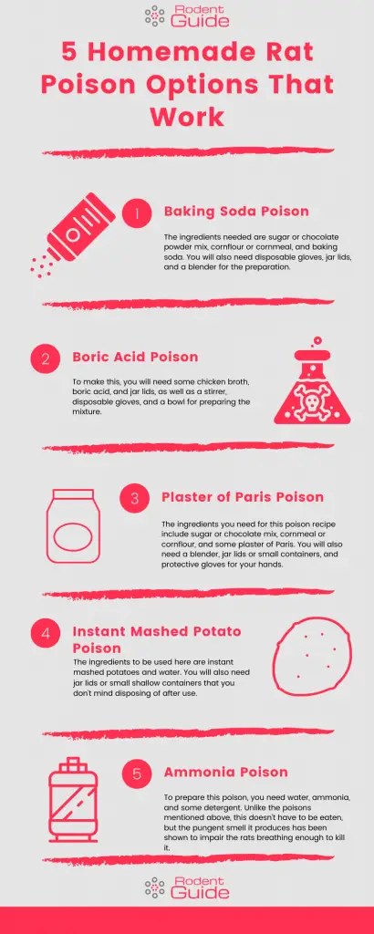 5 Homemade Rat Poison Options That Work Infographic