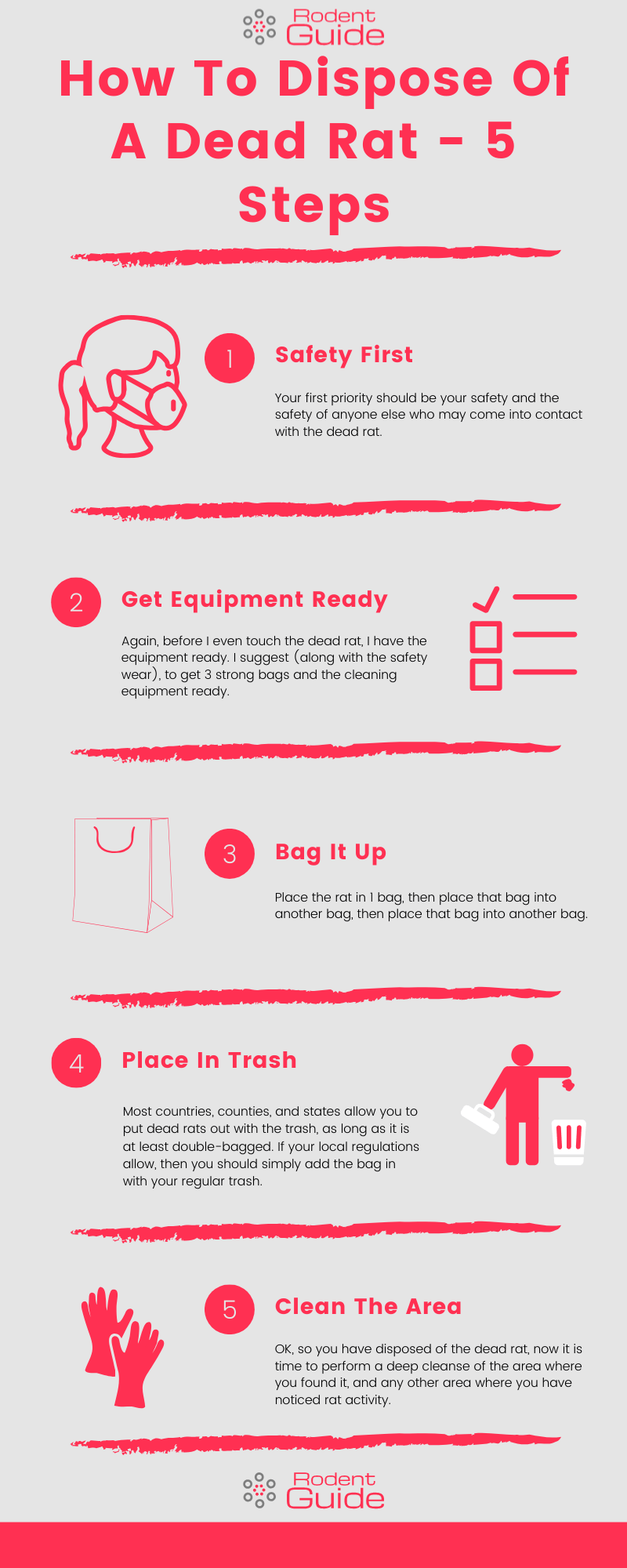 How To Dispose Of A Dead Rat Infographic