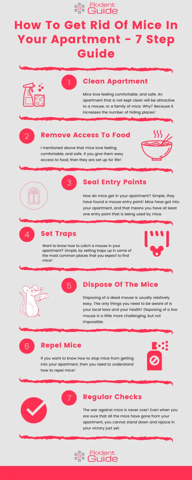 How To Get Rid Of Mice In Apartment - 7 Step Guide - DIY Rodent Control