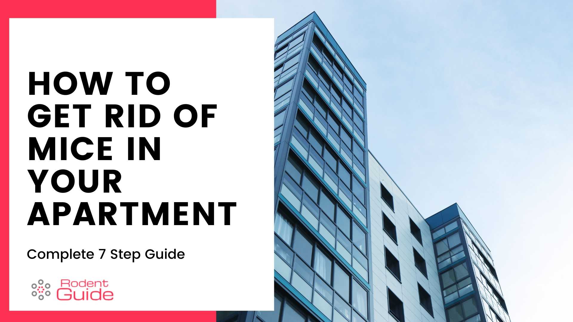 How To Get Rid Of Mice In Apartment 7 Step Guide DIY Rodent Control