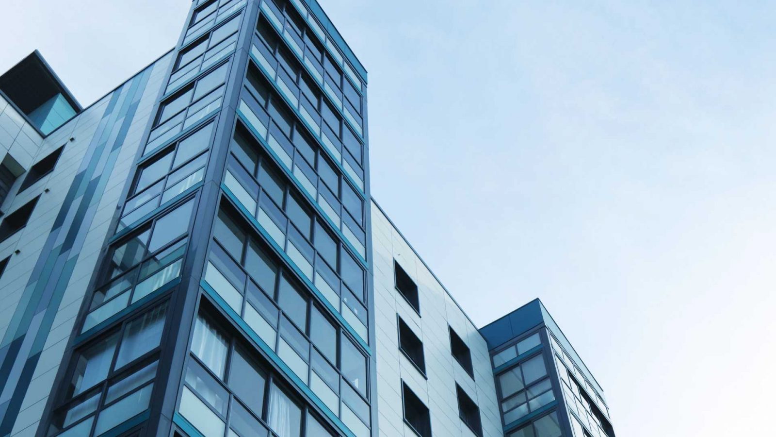 How To Get Rid Of Mice In Apartment 7 Step Guide DIY Rodent Control