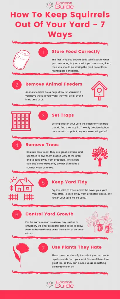 How To Keep Squirrels Out Of Your Yard Infographic