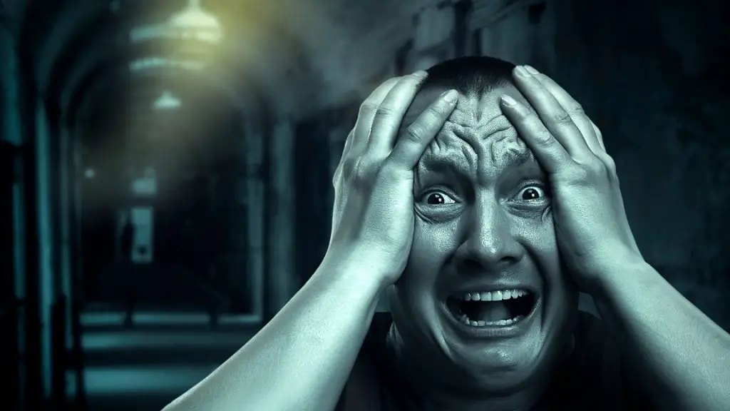 Want To Know How To Scare Rats Away? 5 Proven Tips