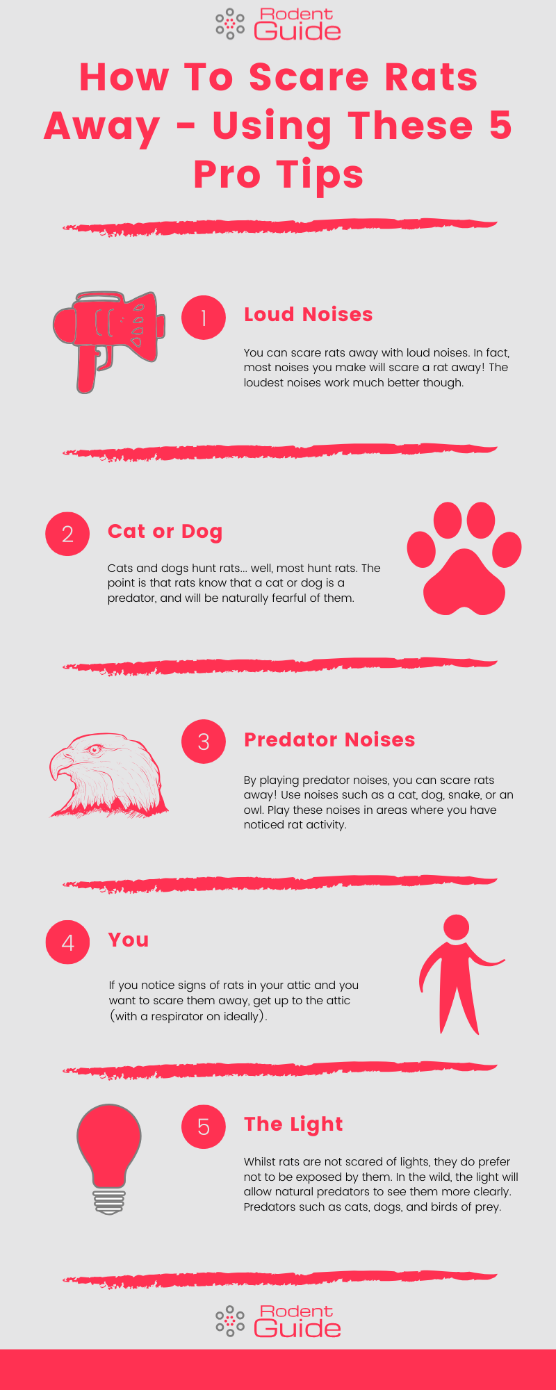 How To Scare Rats Away Infographic