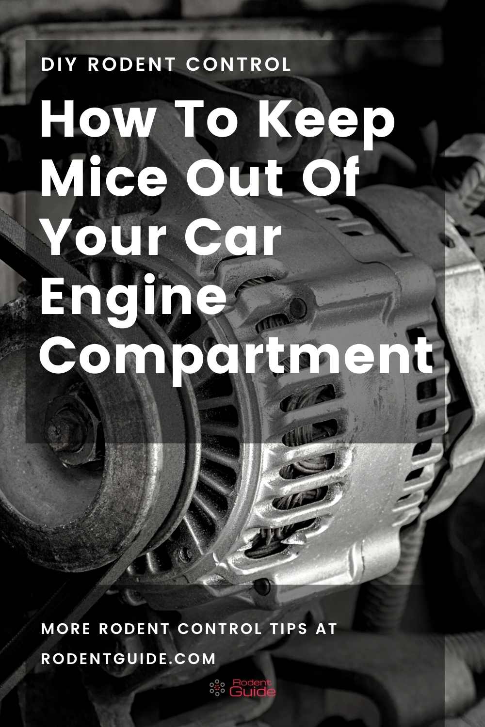 How To Keep Mice Out Of Your Car Engine Compartment - DIY Rodent Control