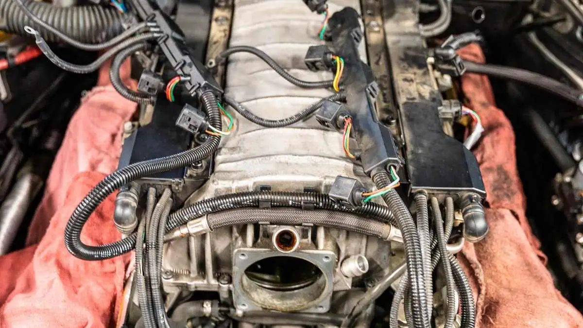 How To Keep Mice Out Of Your Car Engine Compartment DIY Rodent Control