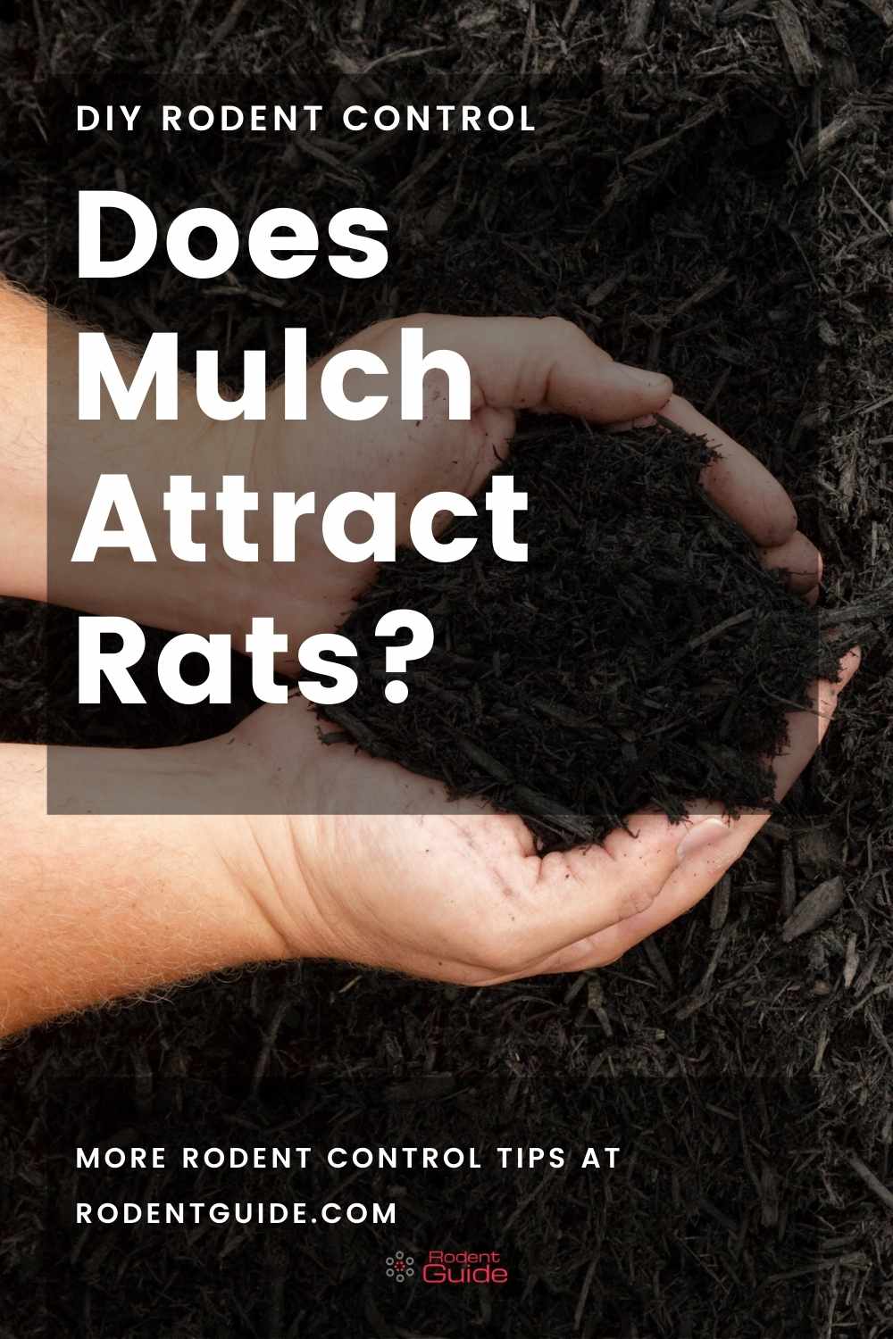 does-mulch-attract-rats-here-is-our-guide-diy-rodent-control