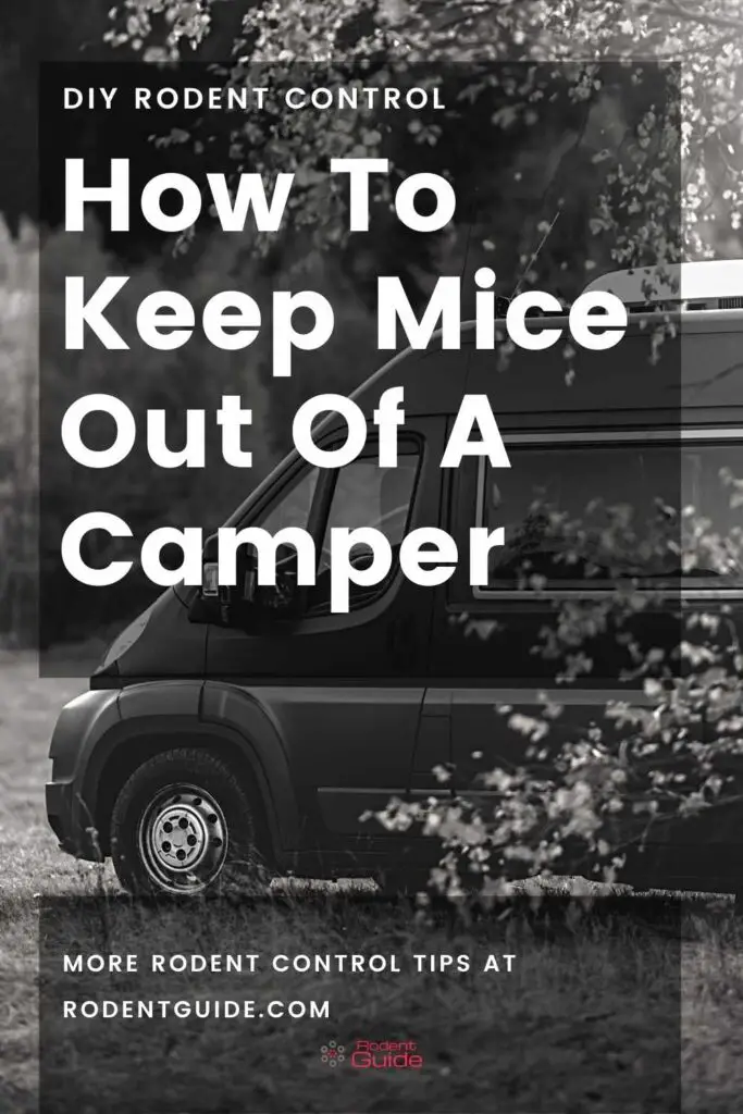 How To Keep Mice Out Of A Camper