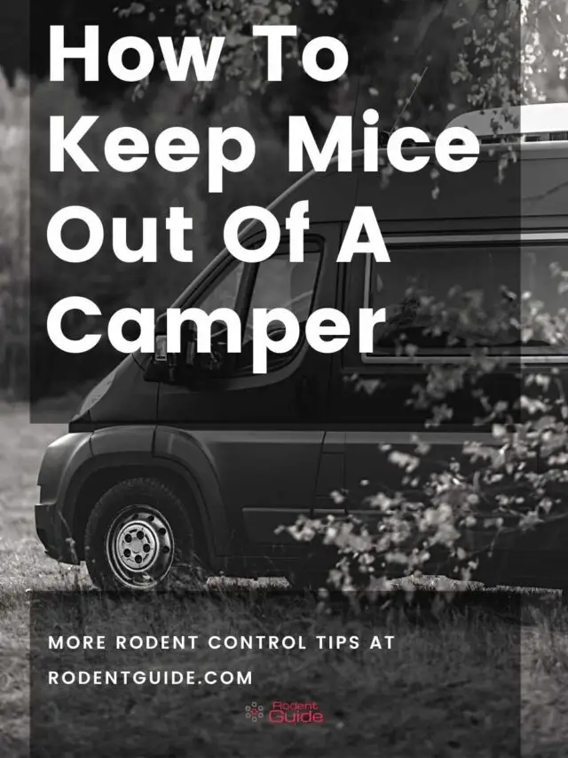 cropped-How-To-Keep-Mice-Out-Of-A-Camper.jpg