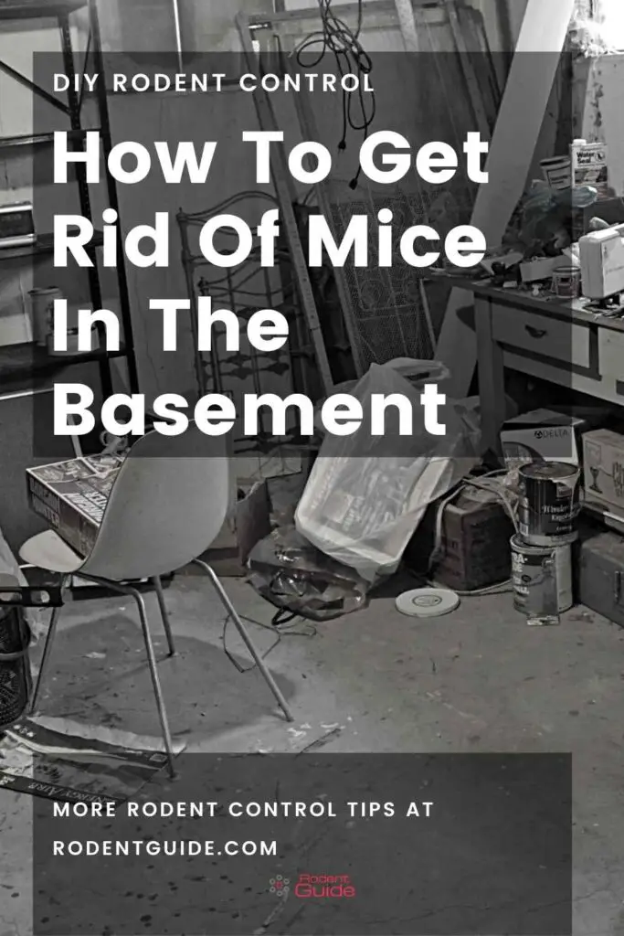 How To Get Rid Of Mice In The Basement