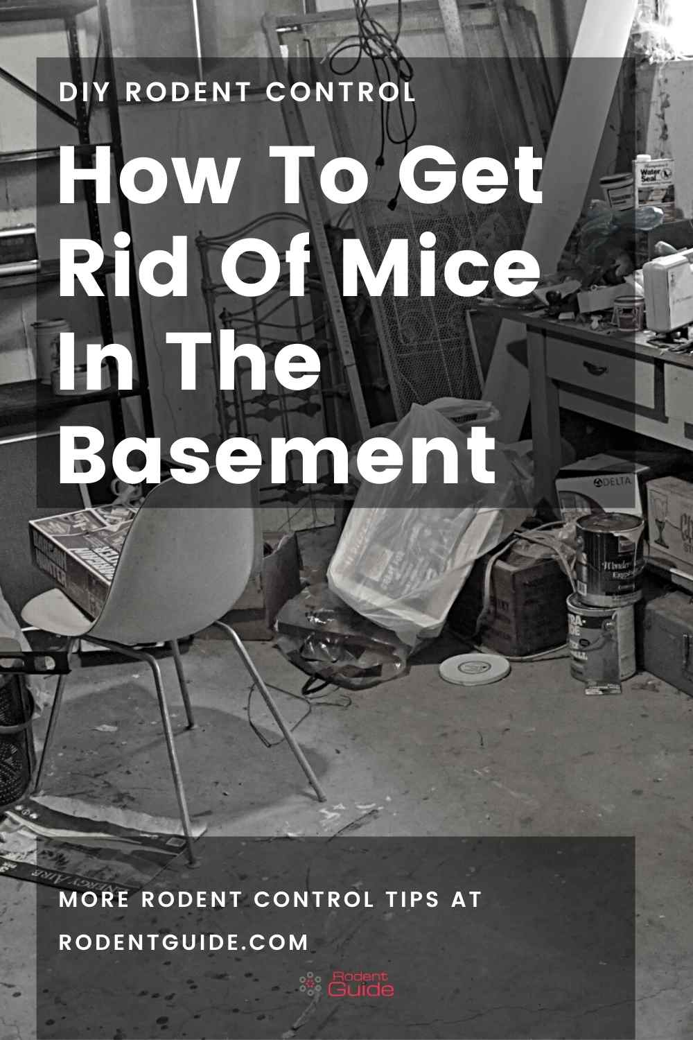 How To Get Rid Of Mice In The Basement 5 Ways DIY Rodent Control   How To Get Rid Of Mice In The Basement 