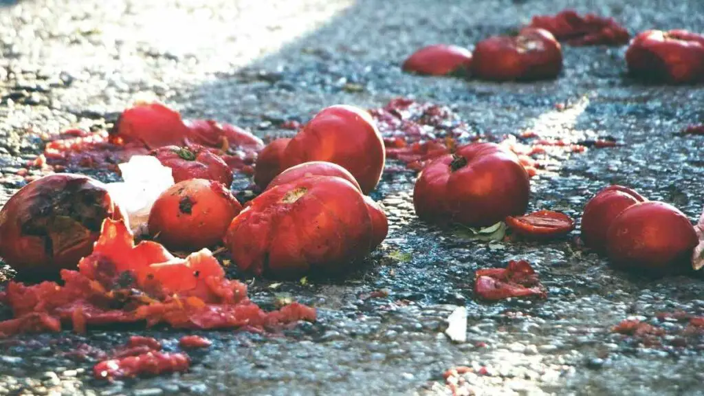 food waste on floor