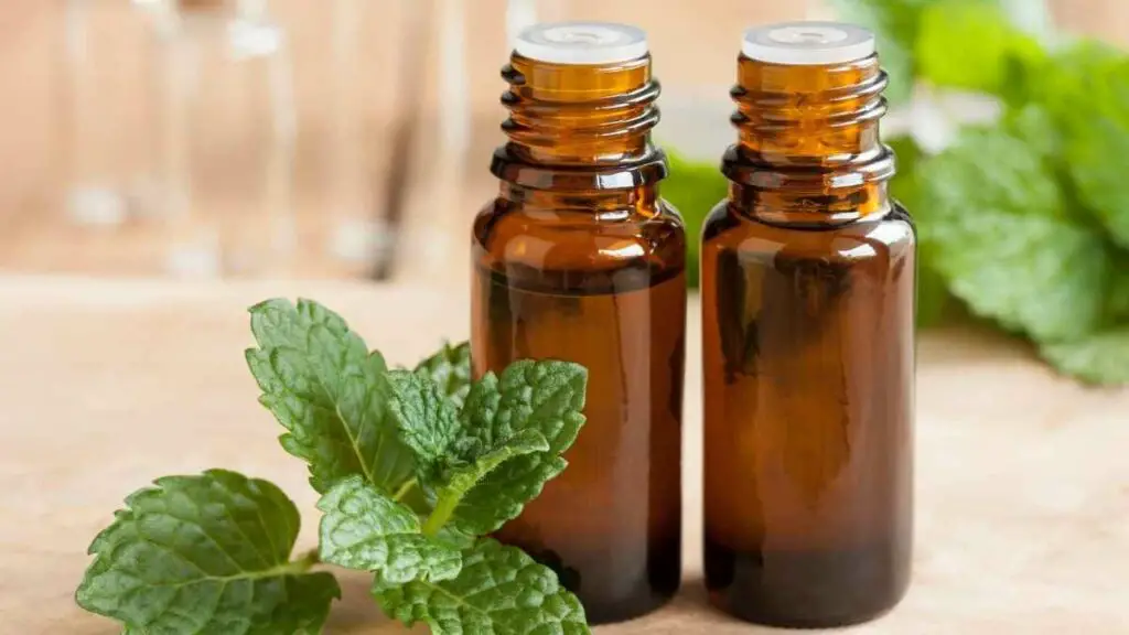 peppermint oil