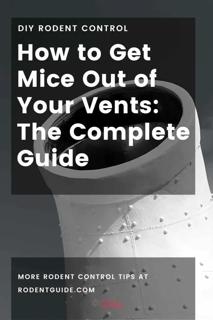 How to Get Mice Out of Your Vents The Complete Guide