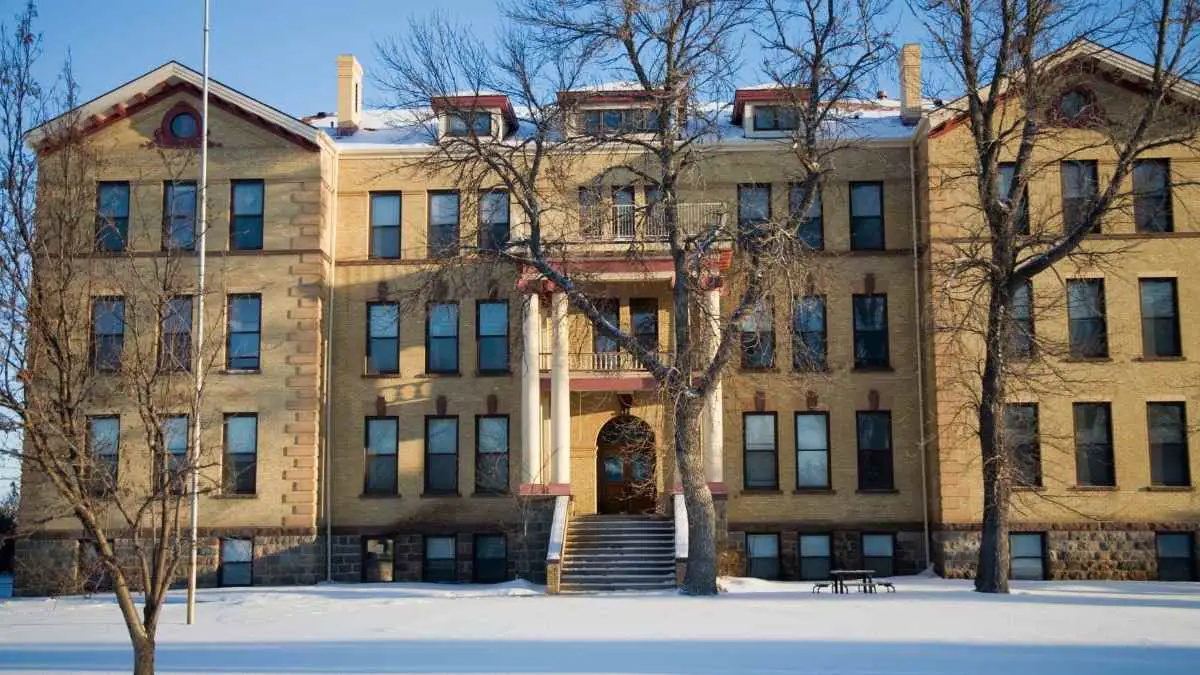 How Do Mice Get In Upstairs Apartments? How Do They Get In? DIY