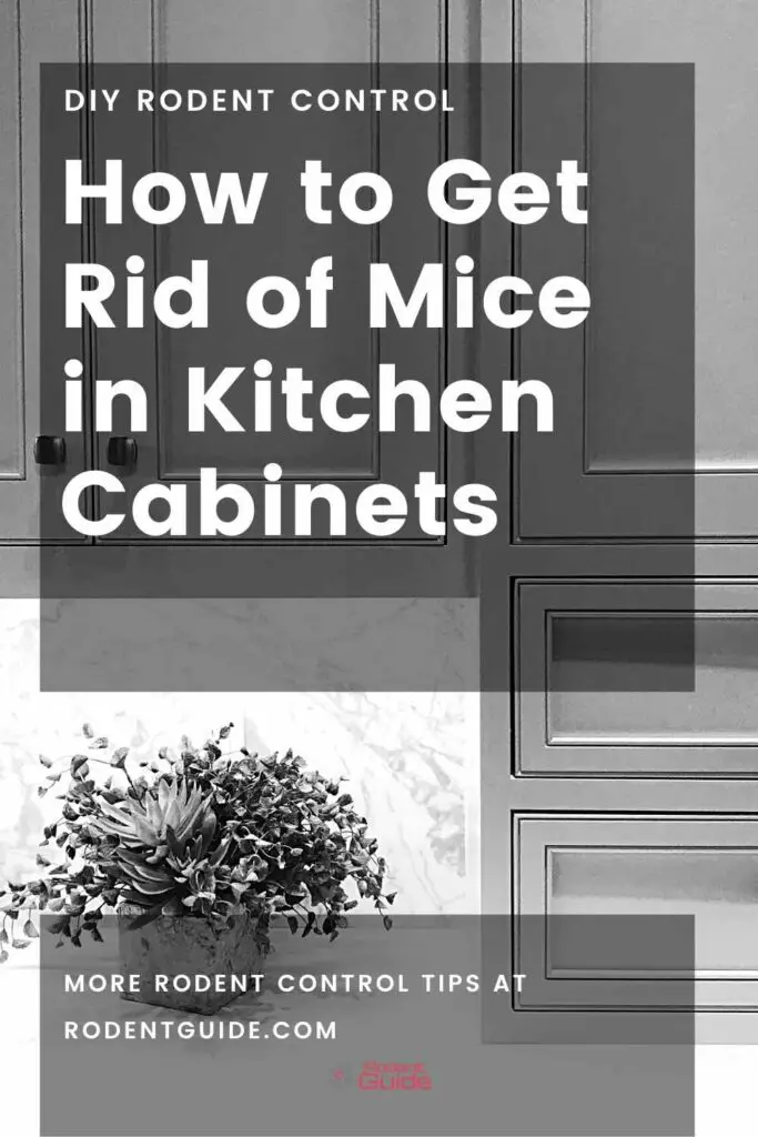 how to get rid of mice in kitchen cabinets