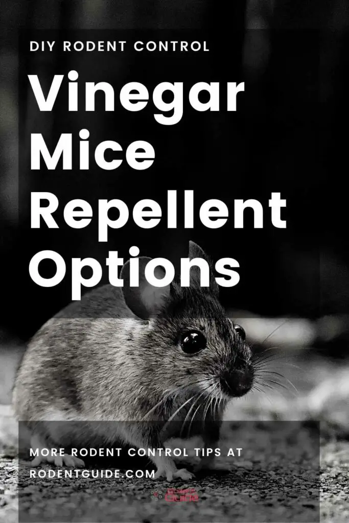 Vinegar Mice Repellent Options
