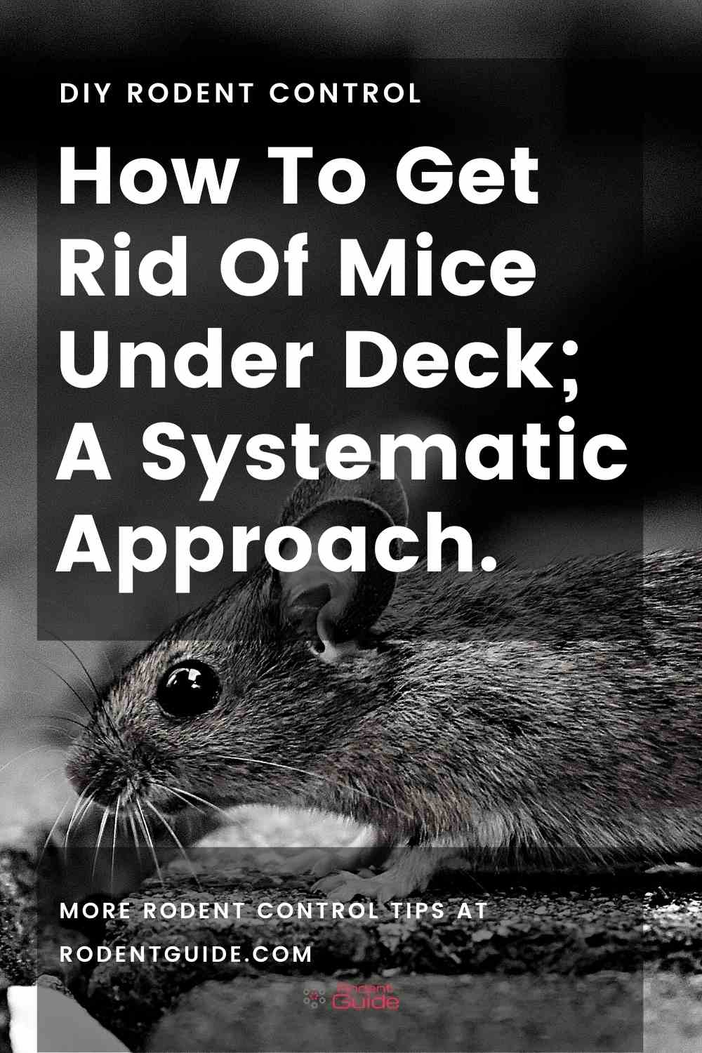 How To Get Rid Of Mice Under Deck; A Systematic Approach. - DIY Rodent ...