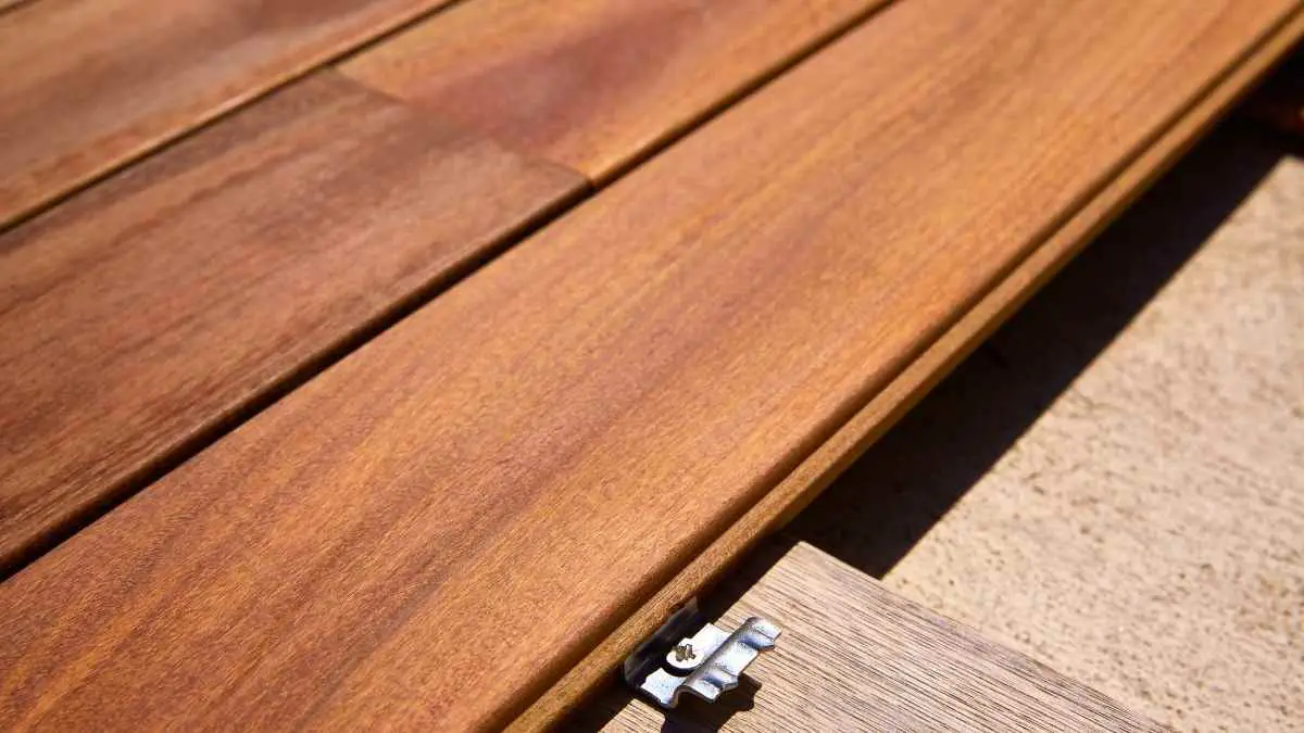 How To Get Rid Of Mice Under Deck; A Systematic Approach. DIY Rodent