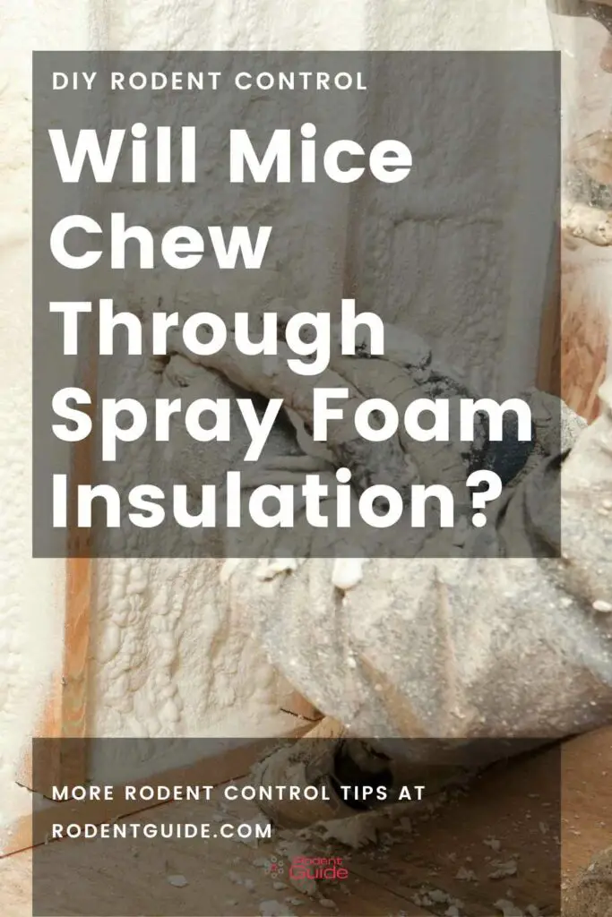 Will Mice Chew Through Spray Foam Insulation