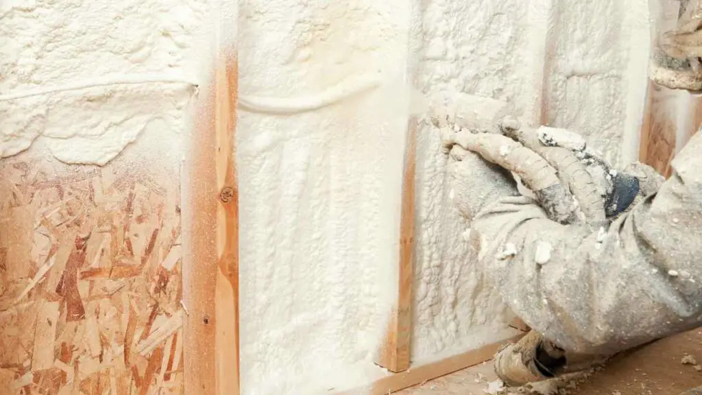 Busting the Myth Will Mice Chew Through Spray Foam Insulation? DIY