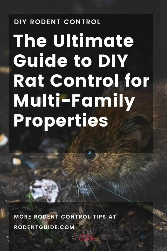 The Ultimate Guide to DIY Rat Control for Multi-Family Properties